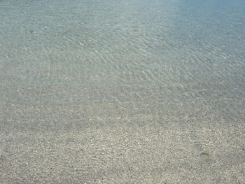 b0132663_8353297.jpg