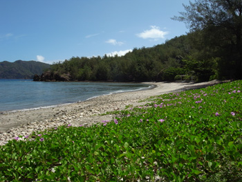 b0132663_8374198.jpg
