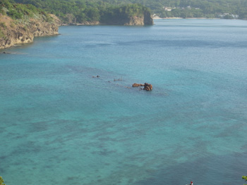 b0132663_83743.jpg