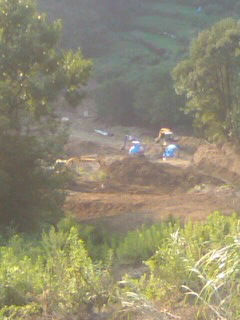 f0061067_21125633.jpg