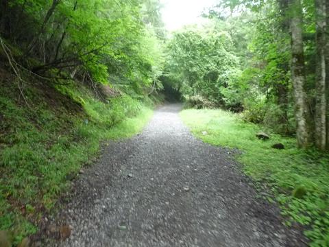 b0164568_7502816.jpg
