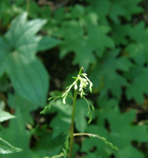 c0042869_20441855.jpg