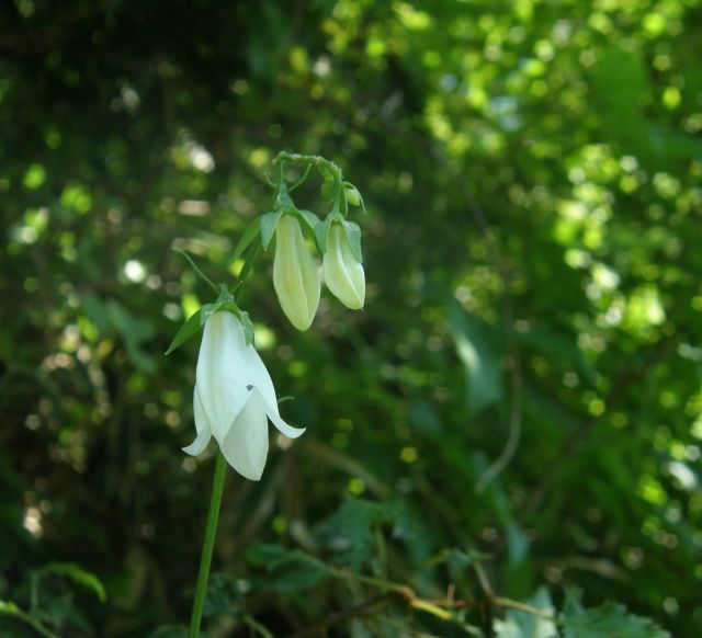 c0042869_2163489.jpg