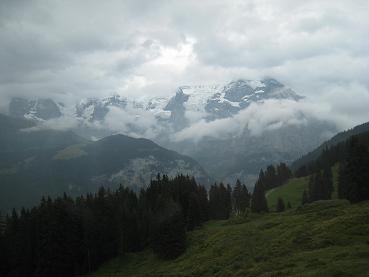 d0046772_73762.jpg