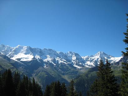 d0046772_8205729.jpg