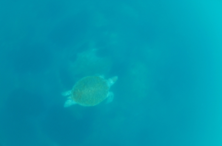 c0181073_228176.jpg