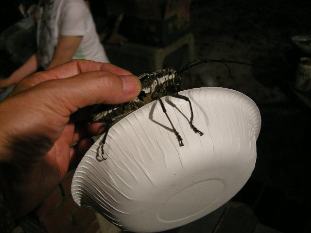 e0076879_23132549.jpg