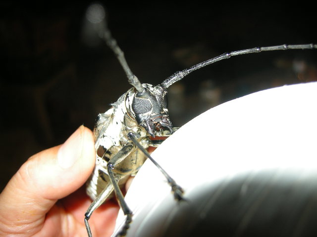 e0076879_23142941.jpg