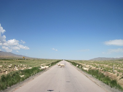 c0016380_19402416.jpg