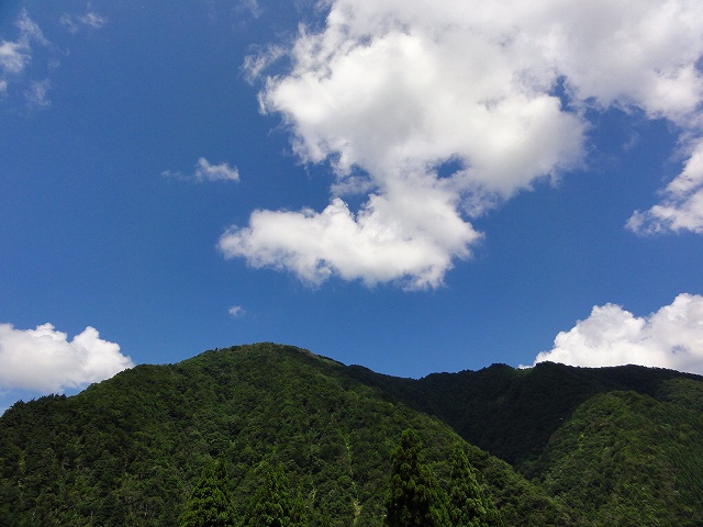 f0079980_0351025.jpg