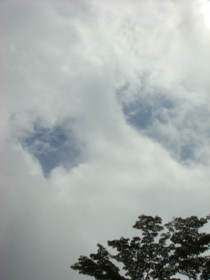 f0171180_23312962.jpg