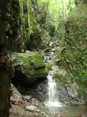f0171180_23322667.jpg
