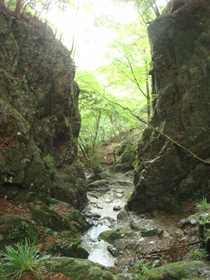 f0171180_23323325.jpg