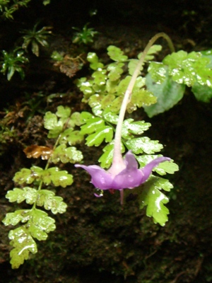 f0171180_23324679.jpg