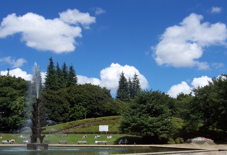 c0198781_1845868.jpg