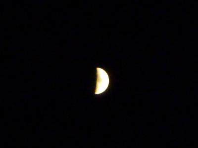 f0016981_3465862.jpg