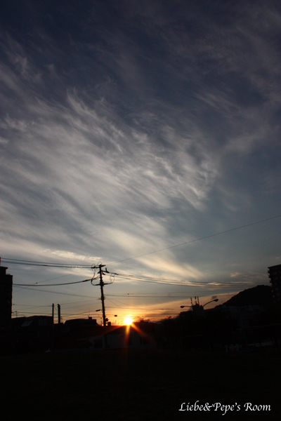 f0001895_1991464.jpg