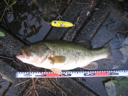 c0023804_1183211.jpg