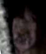 e0103408_16403934.gif