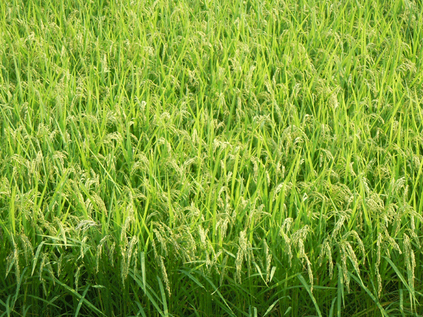b0159611_23573781.gif