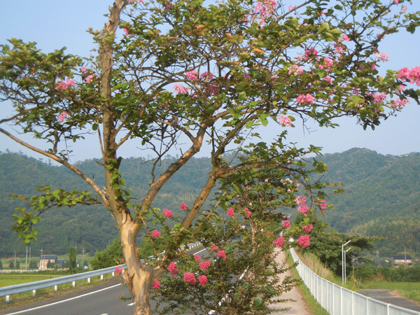 b0159611_23581625.gif