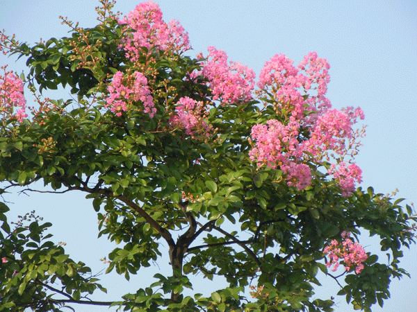 b0159611_23585143.gif