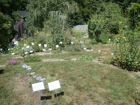 e0046112_2035381.jpg