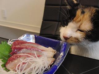 c0201113_22263378.jpg