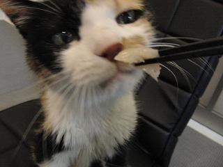 c0201113_22284840.jpg