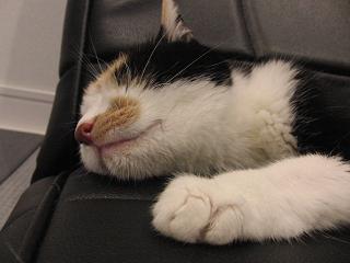 c0201113_22321742.jpg