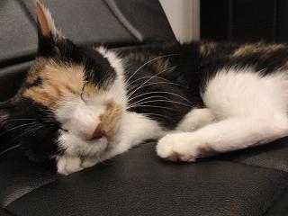 c0201113_22323398.jpg