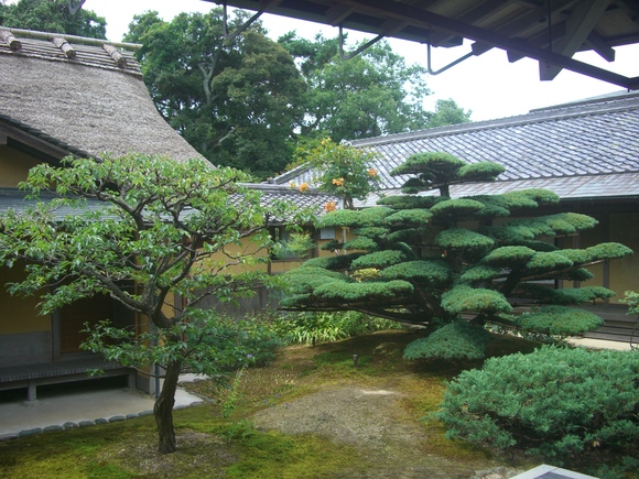 d0007913_17434996.jpg