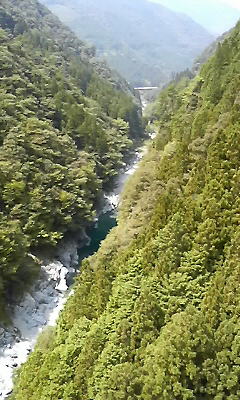 a0156526_22313854.jpg