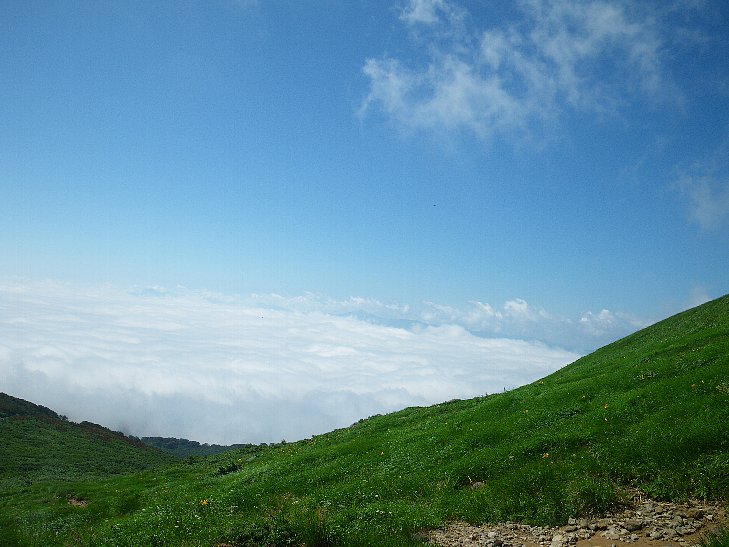 f0118332_23563587.jpg
