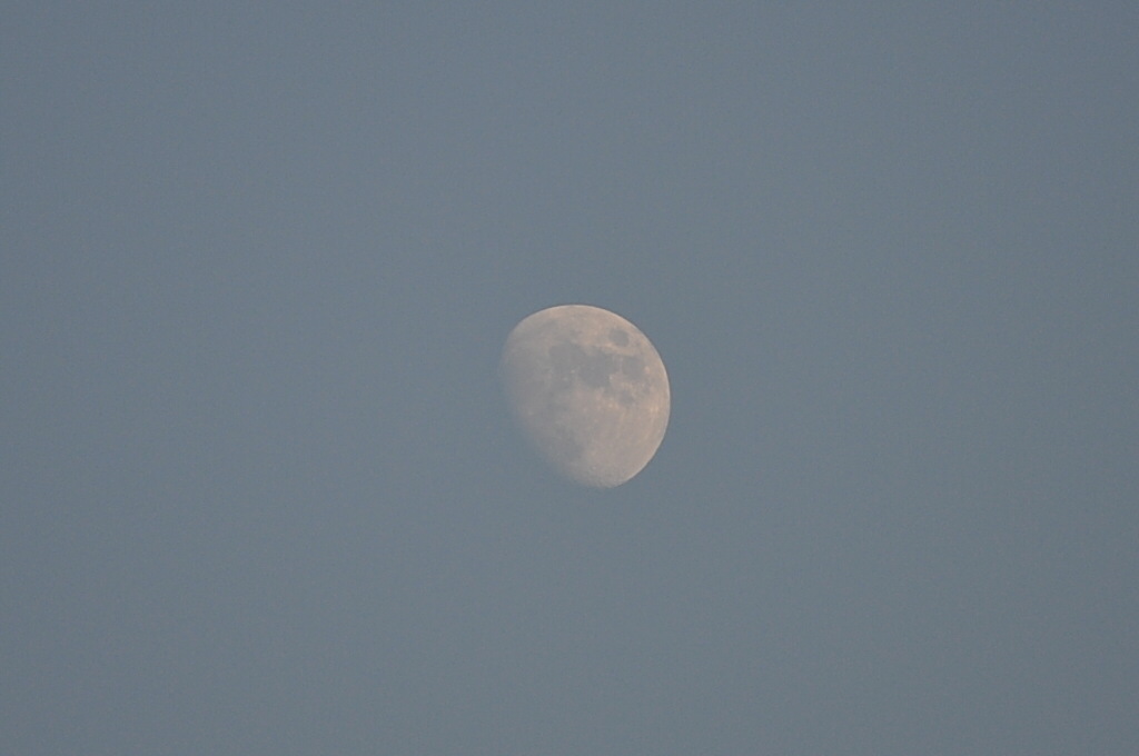 b0129533_2313317.jpg
