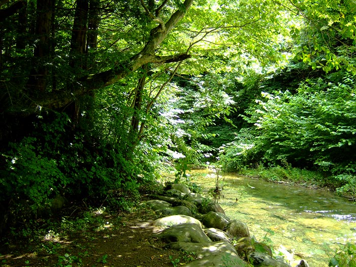 e0006242_10301172.jpg