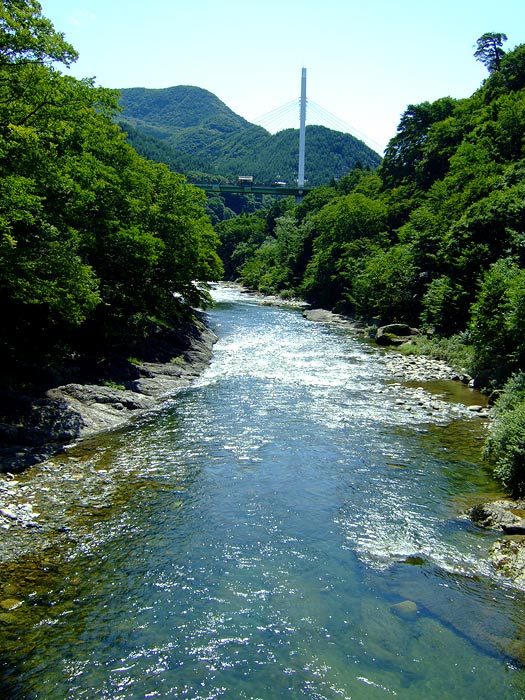 e0006242_10394651.jpg