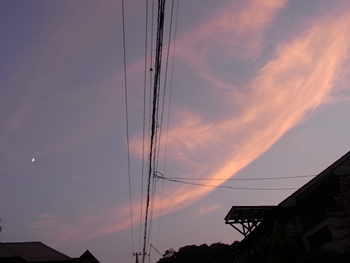 f0201745_085921.jpg