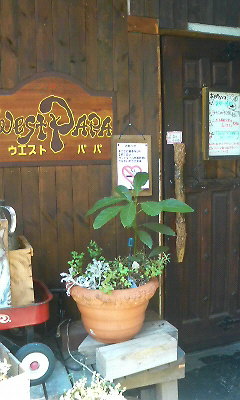 d0085448_1428315.jpg