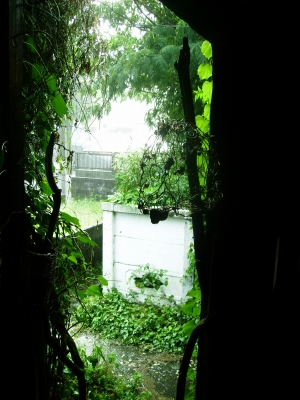 a0068350_453118.jpg