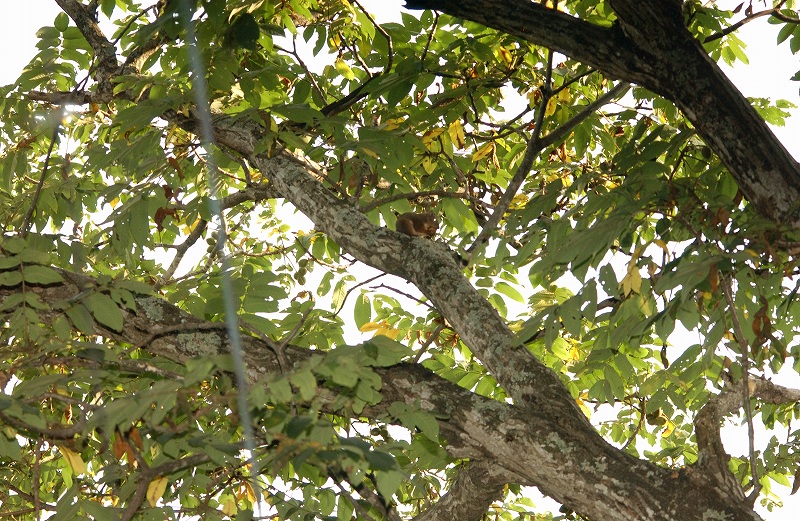 b0029350_22534190.jpg