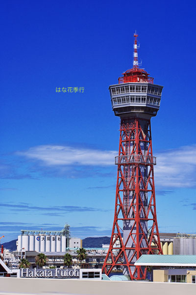 d0036450_721723.jpg
