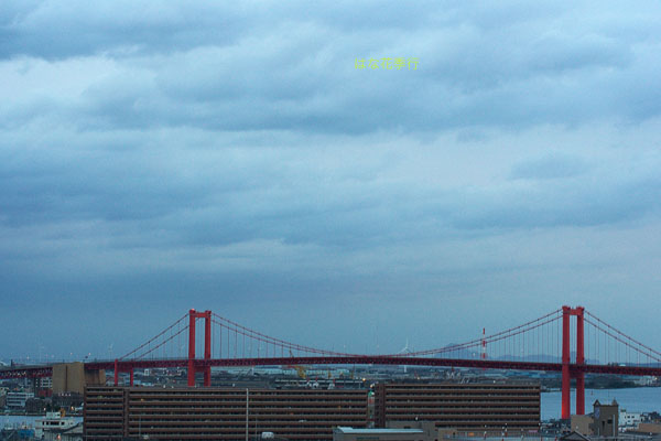 d0036450_724940.jpg