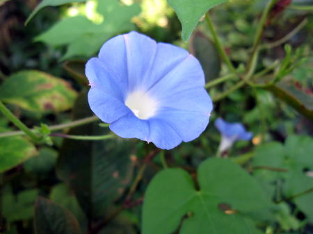 c0147952_22504882.jpg
