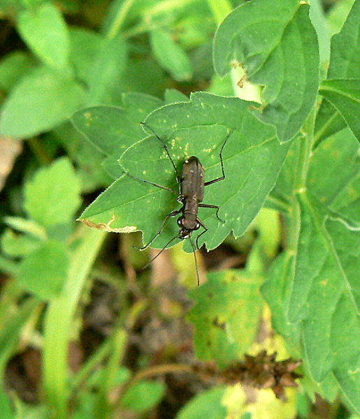 d0091754_0122582.jpg