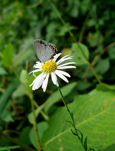 d0091754_118327.jpg