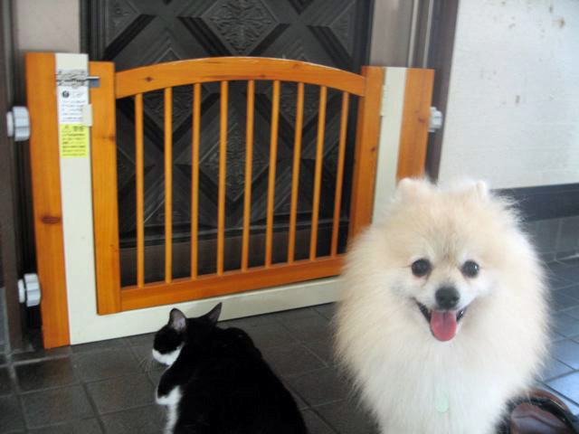c0162160_16103679.jpg