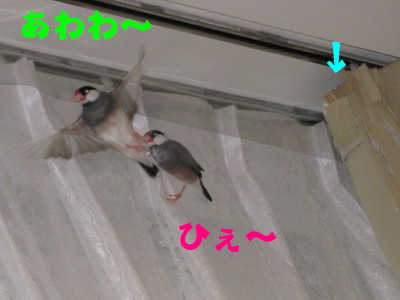 b0158061_2029353.jpg