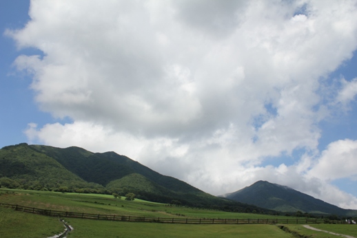 e0068962_2018639.jpg