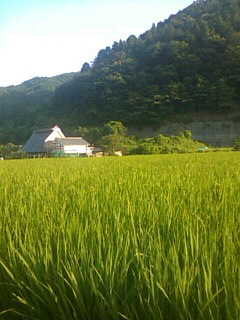 f0061067_12324423.jpg